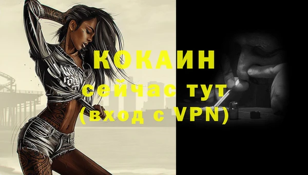 стафф Иннополис