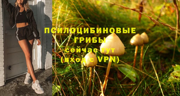 винт Новодвинск