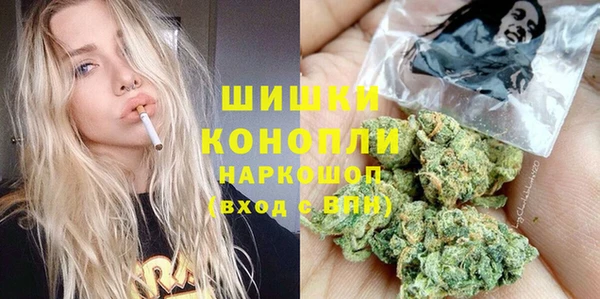 прущие грибы Армянск