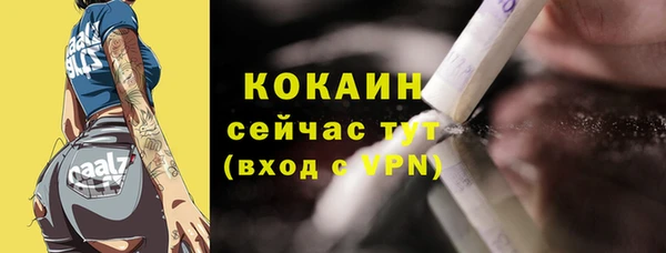 хмурый Инсар