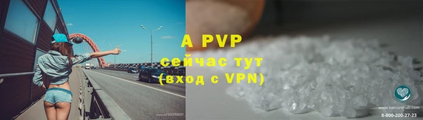 индика Балахна