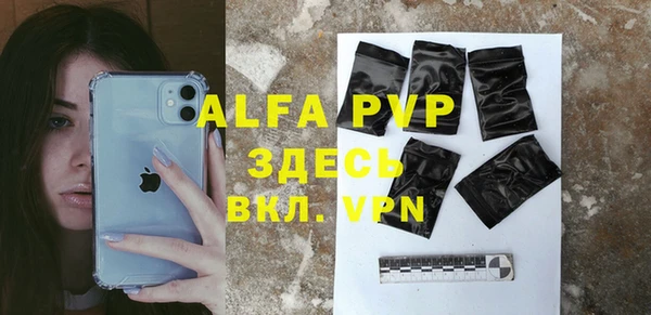 индика Балахна