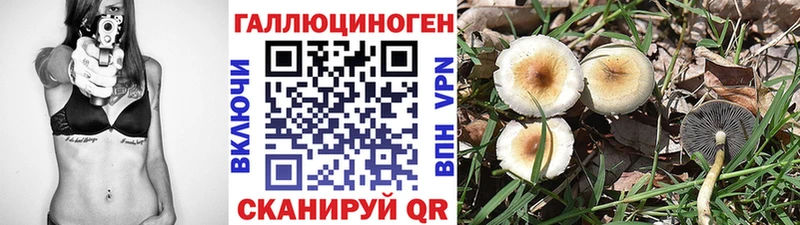 ссылка на мегу маркетплейс  Мосальск  Псилоцибиновые грибы Psilocybe  купить закладку 